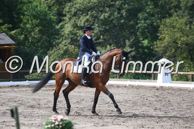 009M9916_Escada_Dressur S_St. Georg.JPG